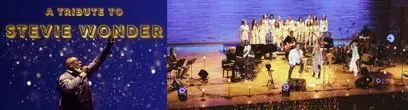 Tribute to Stevie Wonder do 7-02
