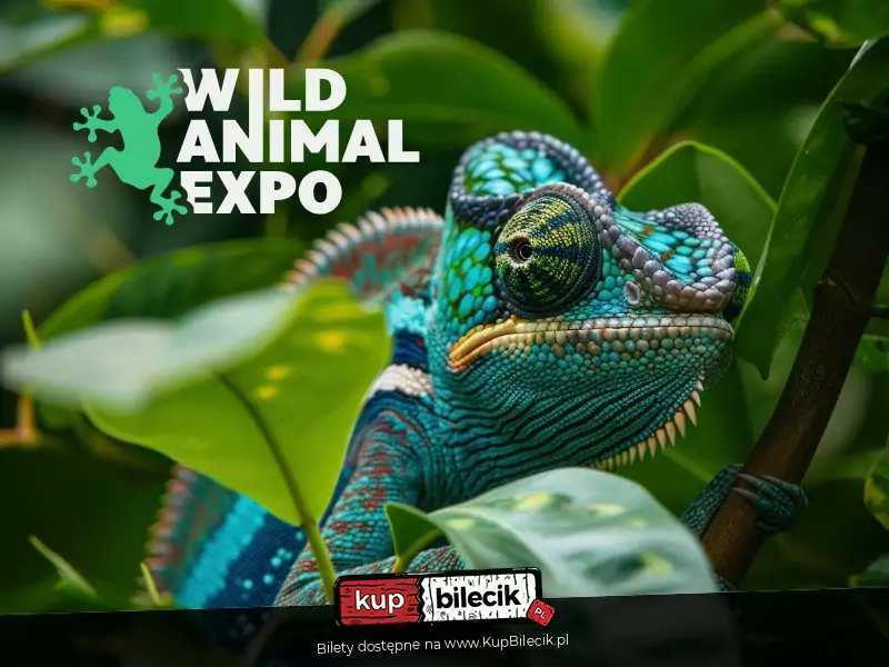 Wild Animal Expo