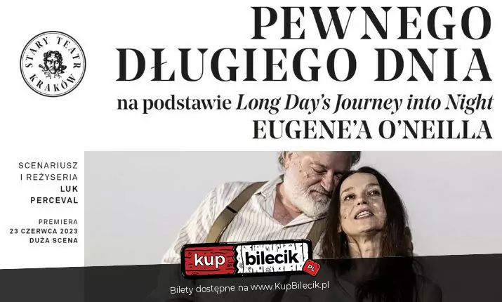 Pewnego długiego dnia