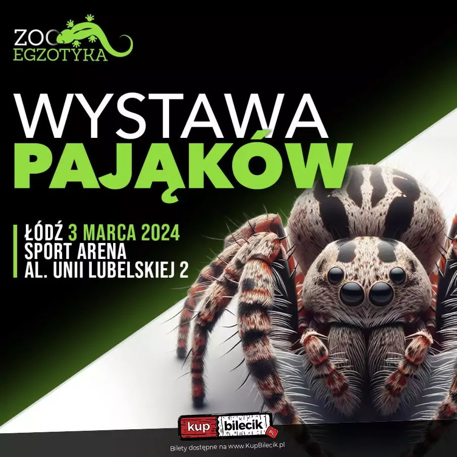 Wystawa pająków - ZooEgzotyka