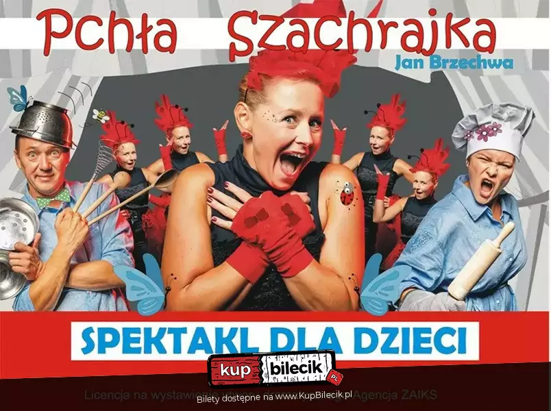 Pcha Szachrajka - Teatr elazny