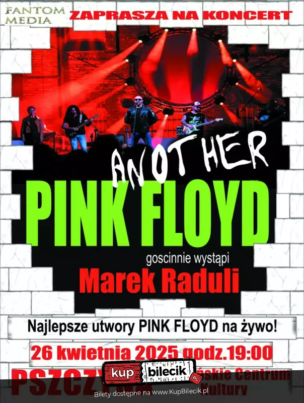 Another PINK FLOYD Tribute Band