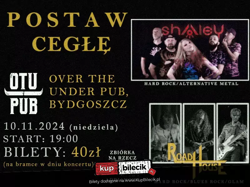 Postaw cegłę - Koncert  dla powodzian