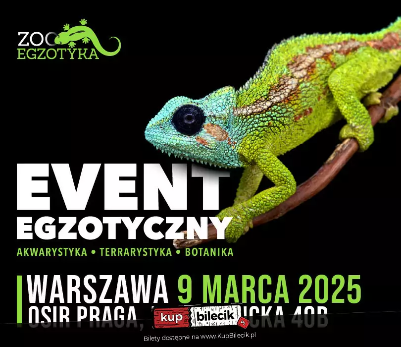 ZooEgzotyka