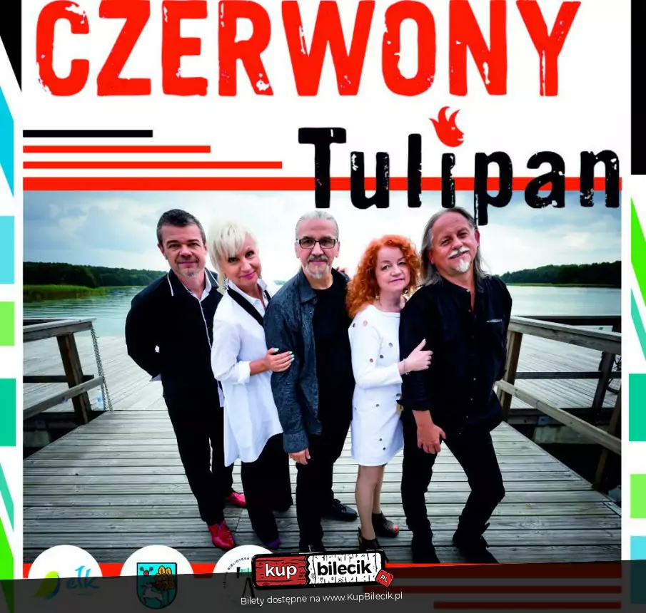 Czerwony Tulipan