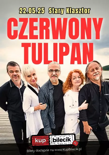 Czerwony Tulipan