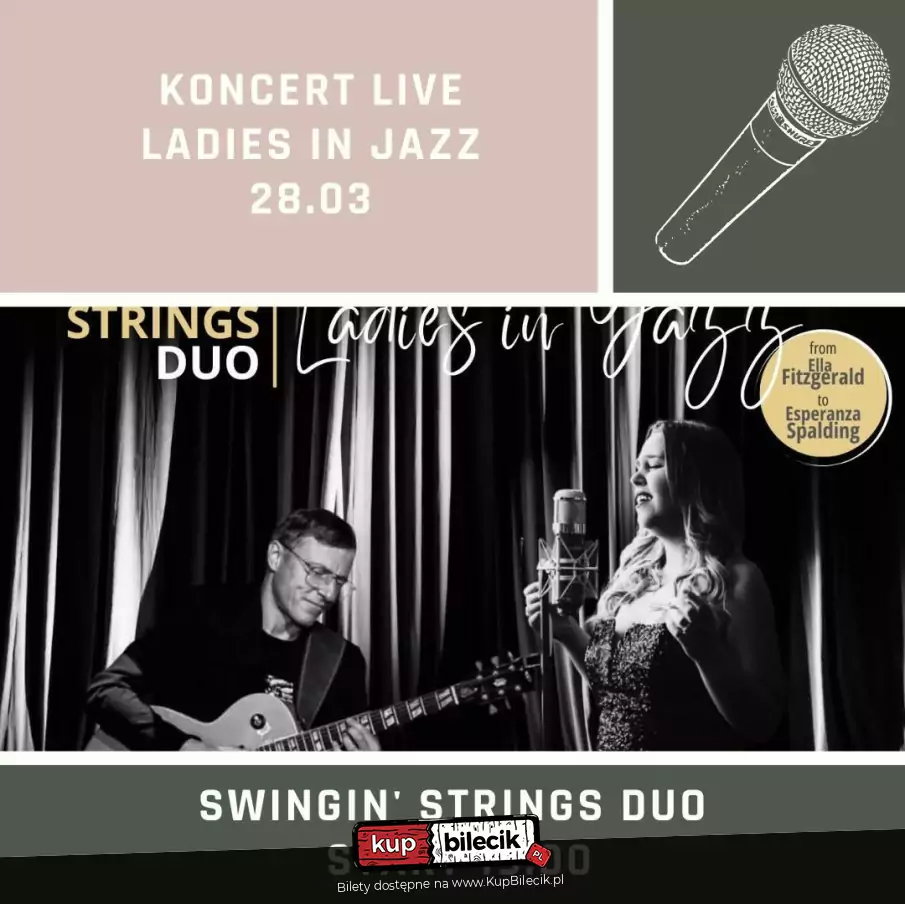 Swingin' Strings Duo