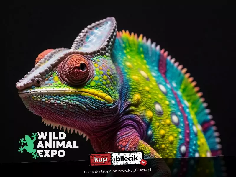 Wild Animal Expo - Wystawa Zwierząt Egzotycznych i Niecodziennych Gatunków