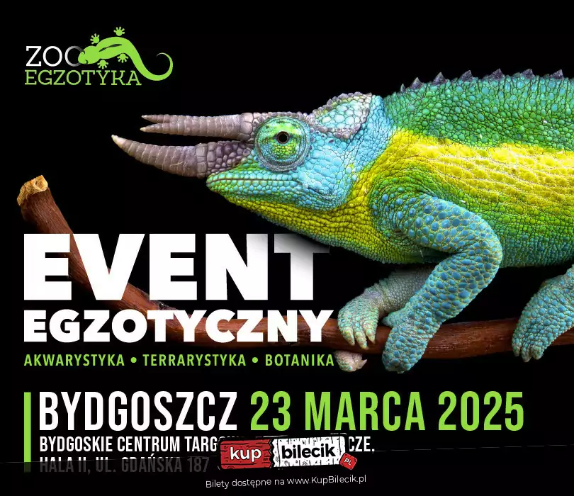 ZooEgzotyka