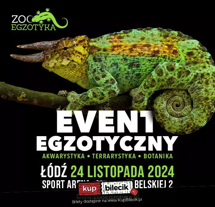 ZooEgzotyka
